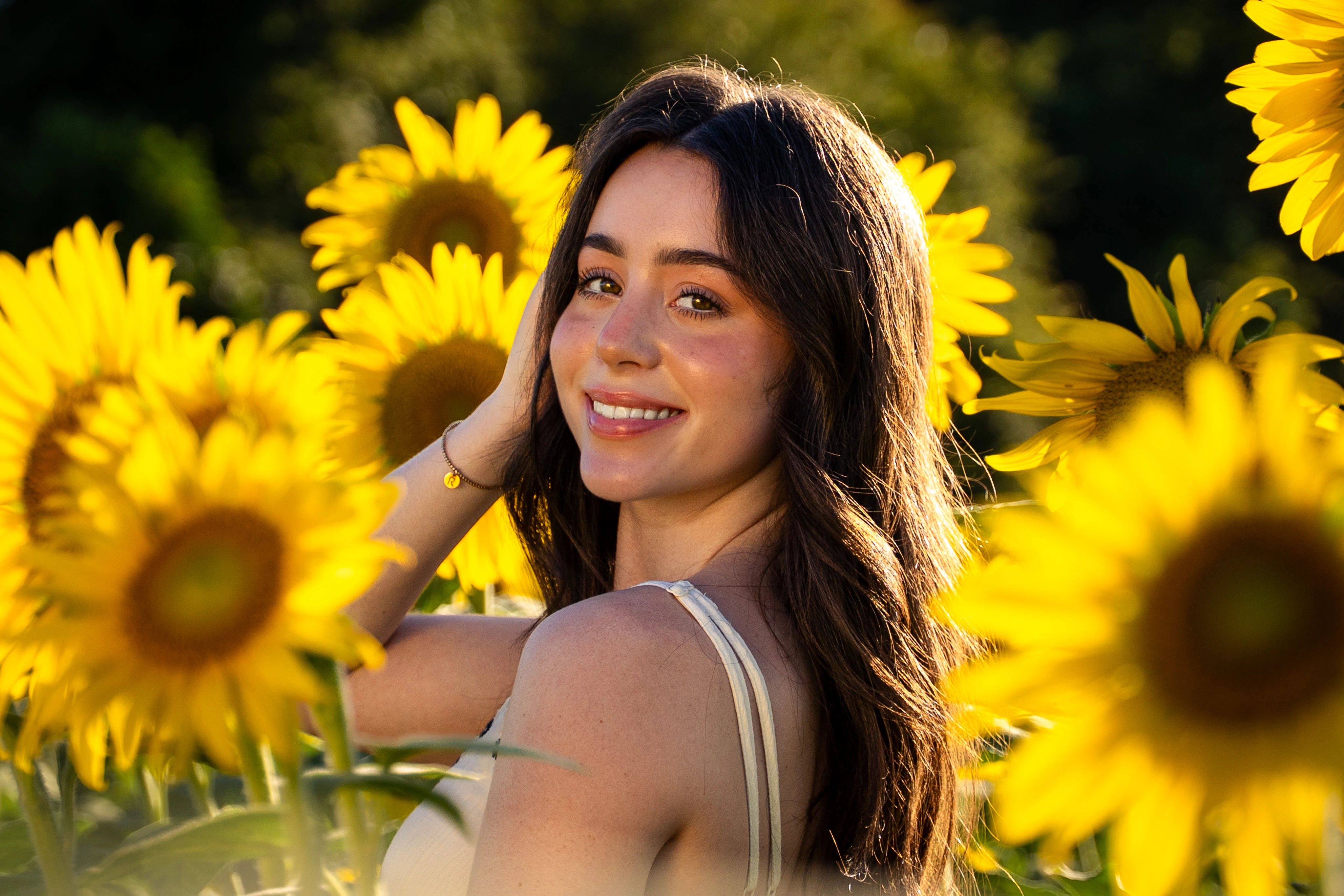 Ruby Sunflower 1