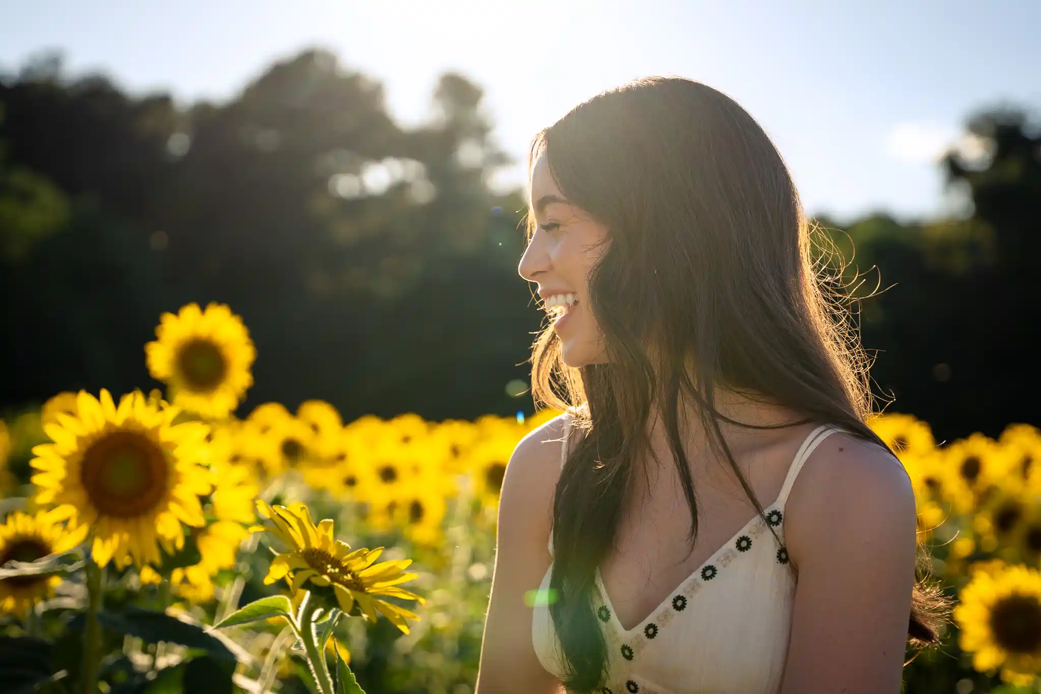 Ruby At The Sunflower Field photo in the Portraits gallery