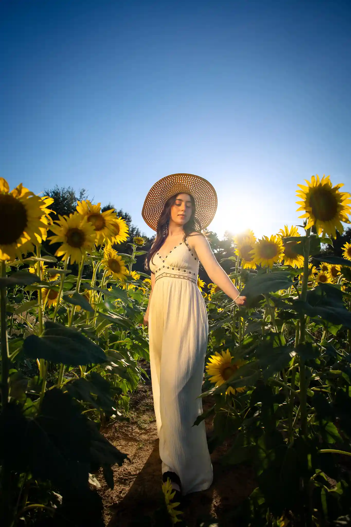 Ruby At The Sunflower Field photo in the Portraits gallery