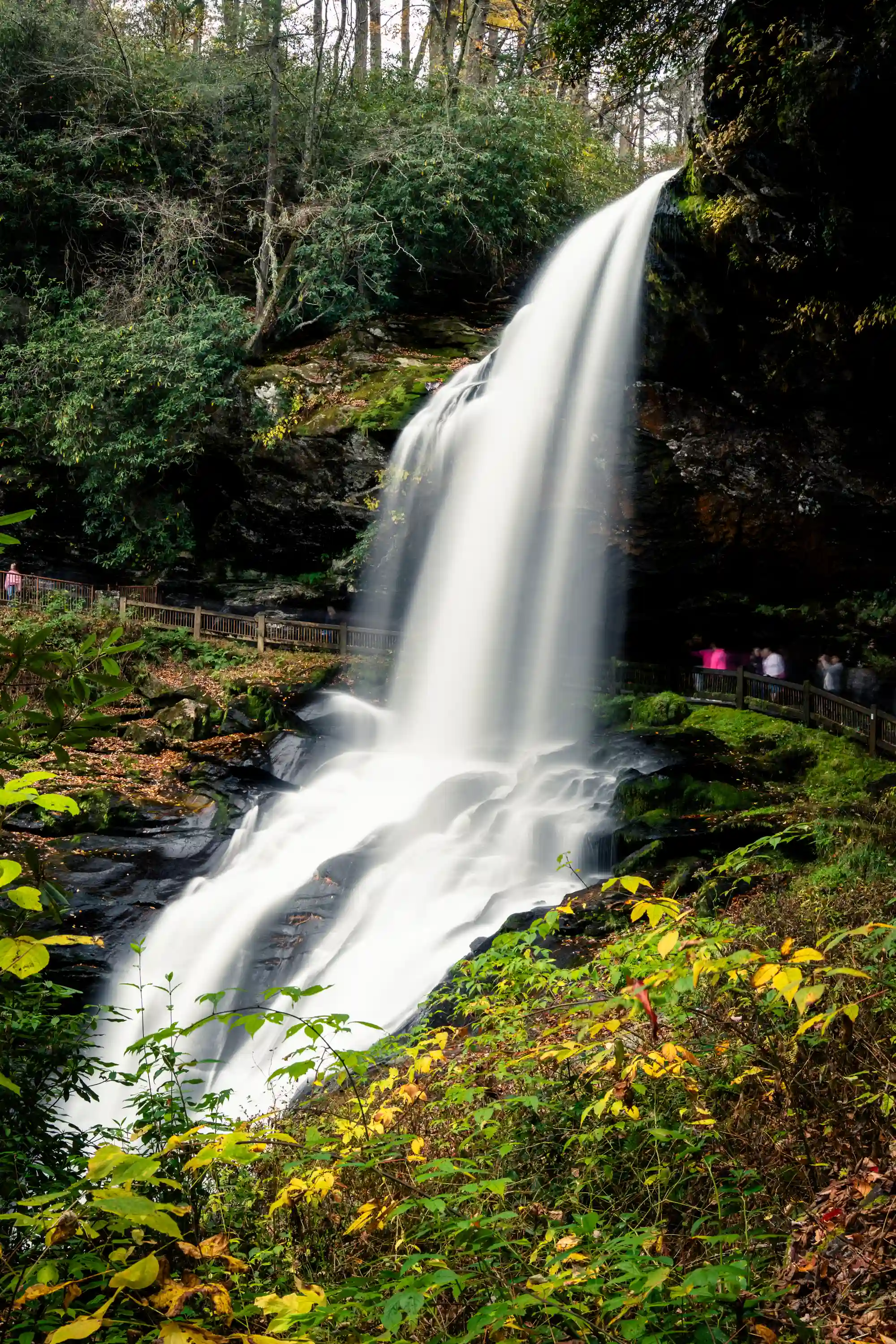 Waterfalls 2025 photo in the Waterfalls gallery