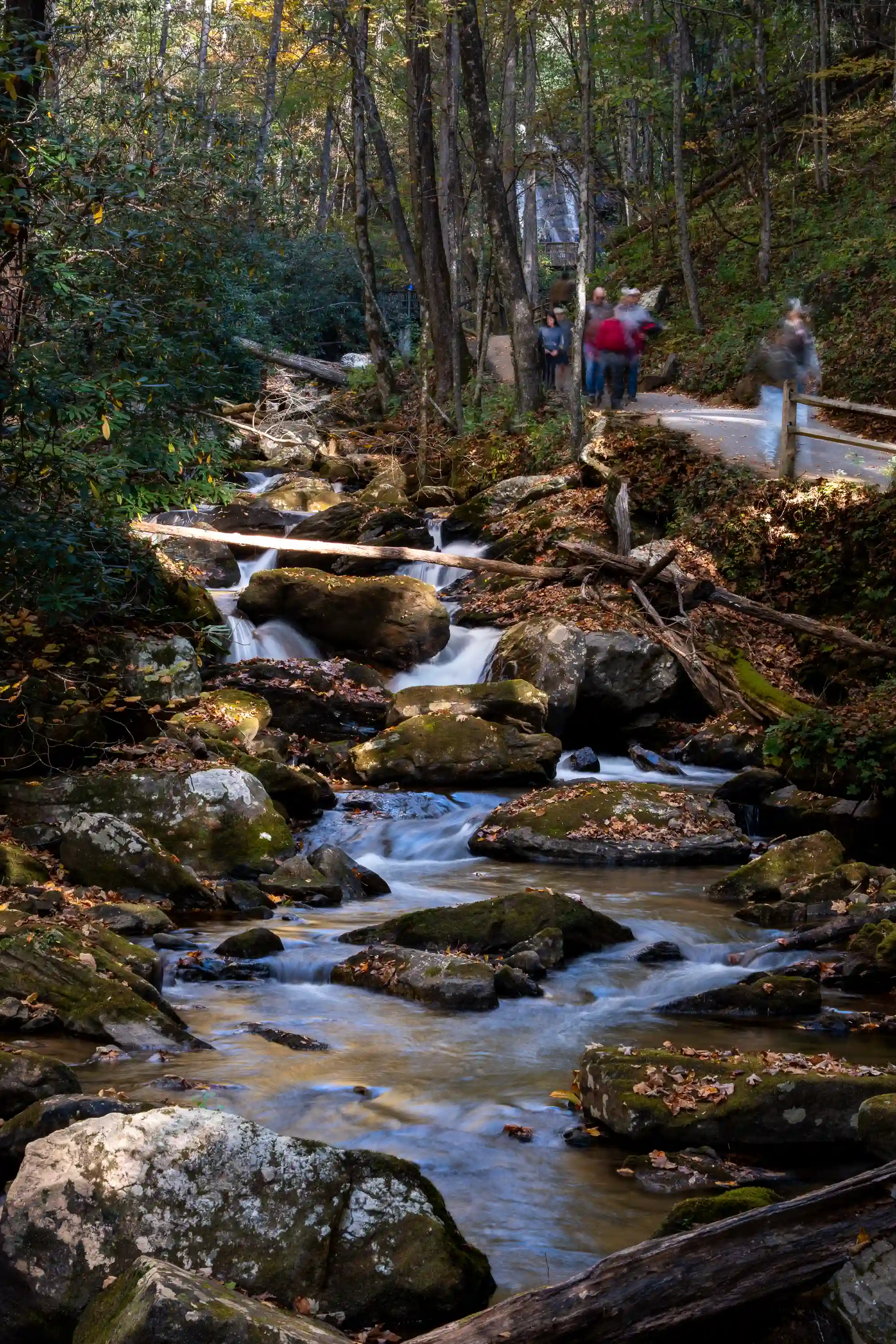 Waterfalls 2025 photo in the Waterfalls gallery