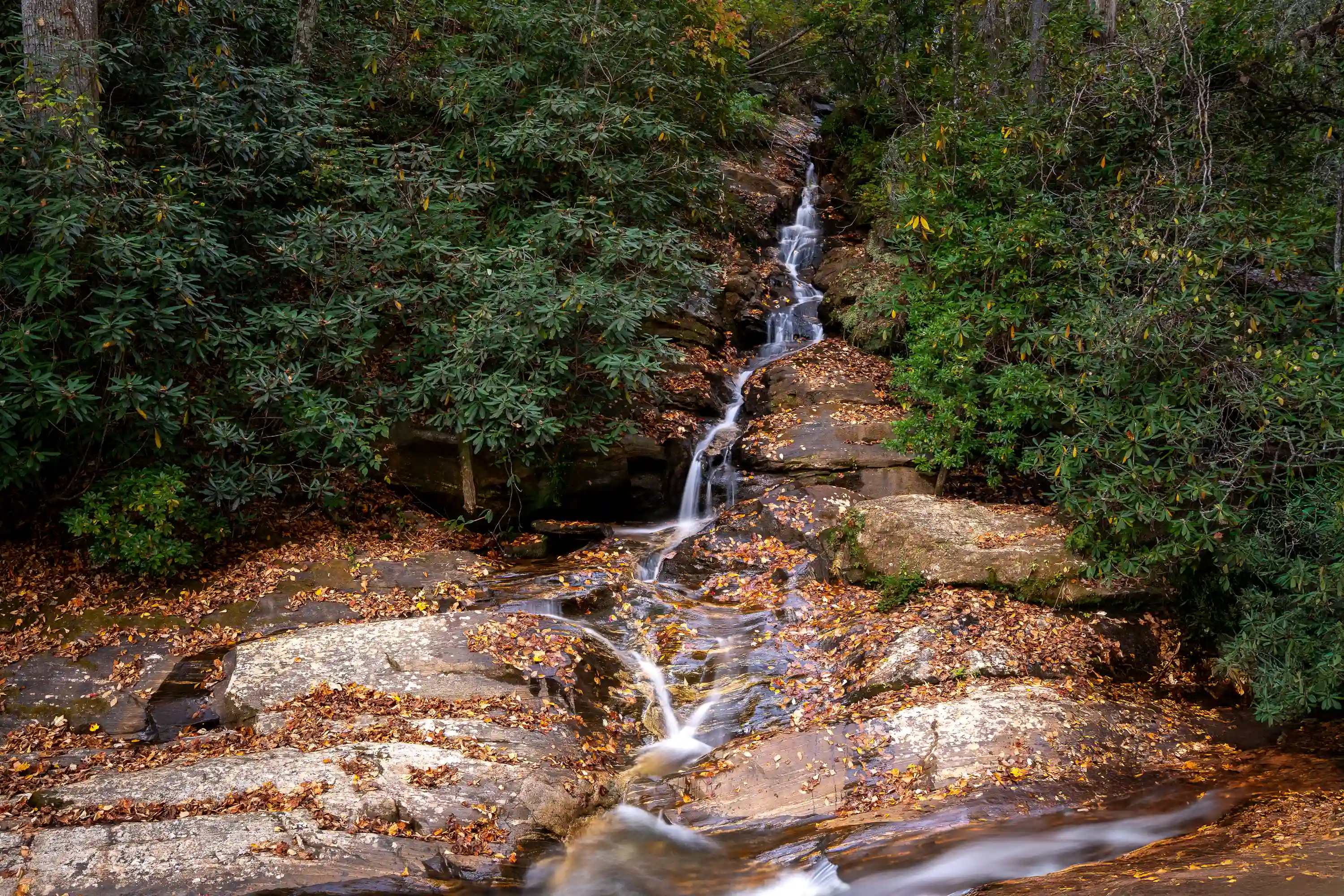 Waterfalls 2025 photo in the Waterfalls gallery