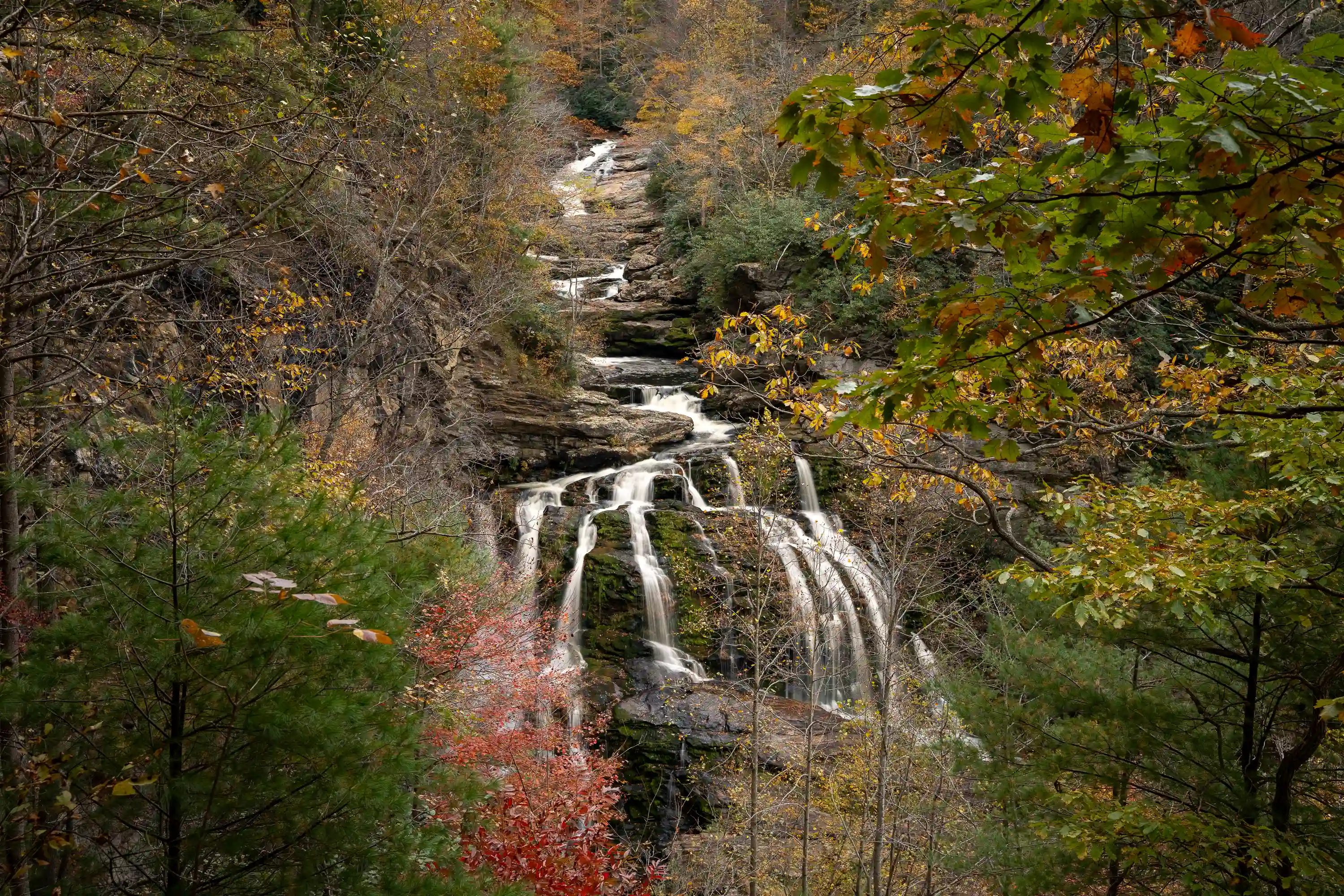 Waterfalls 2025 photo in the Waterfalls gallery