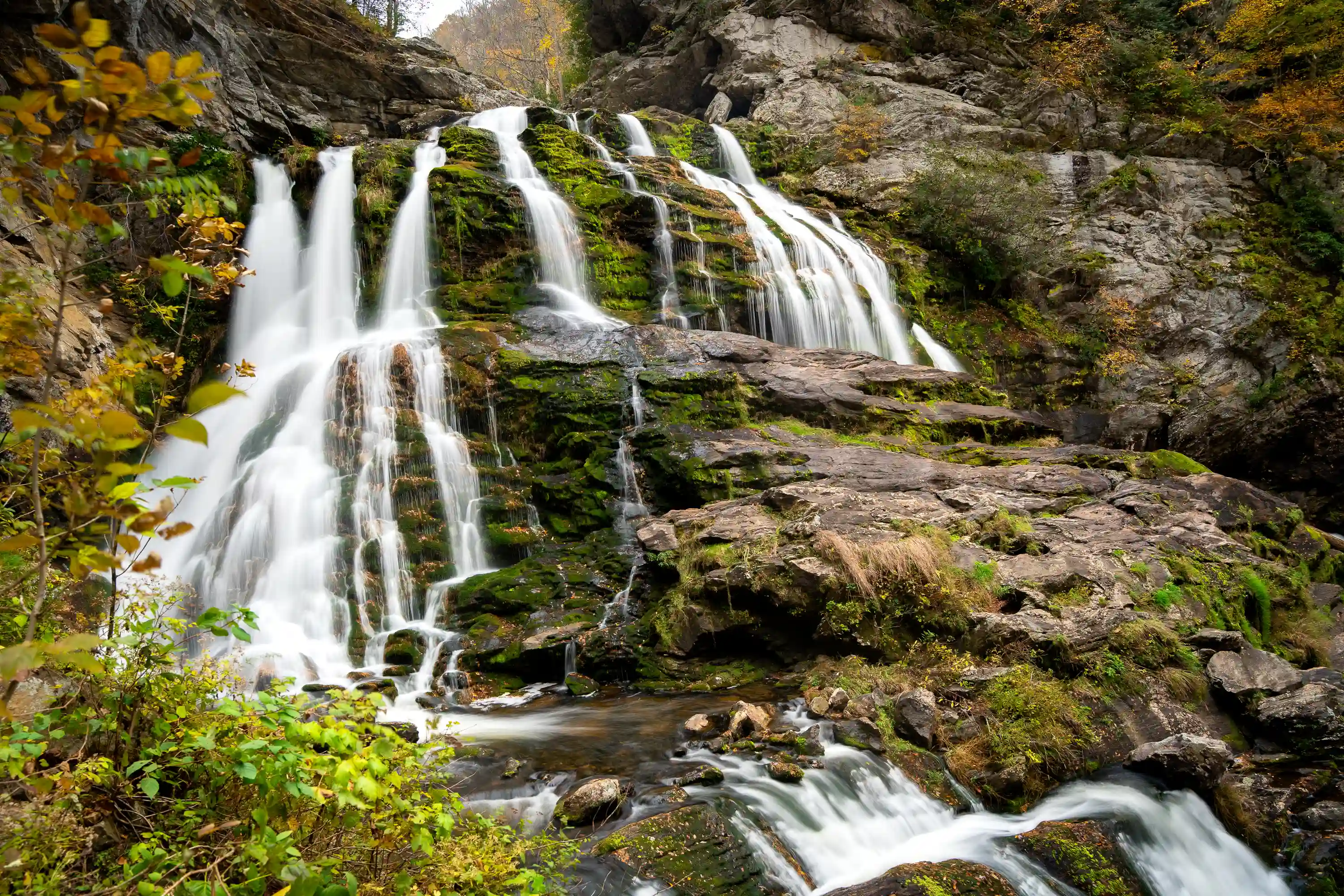 Waterfalls 2025 photo in the Waterfalls gallery