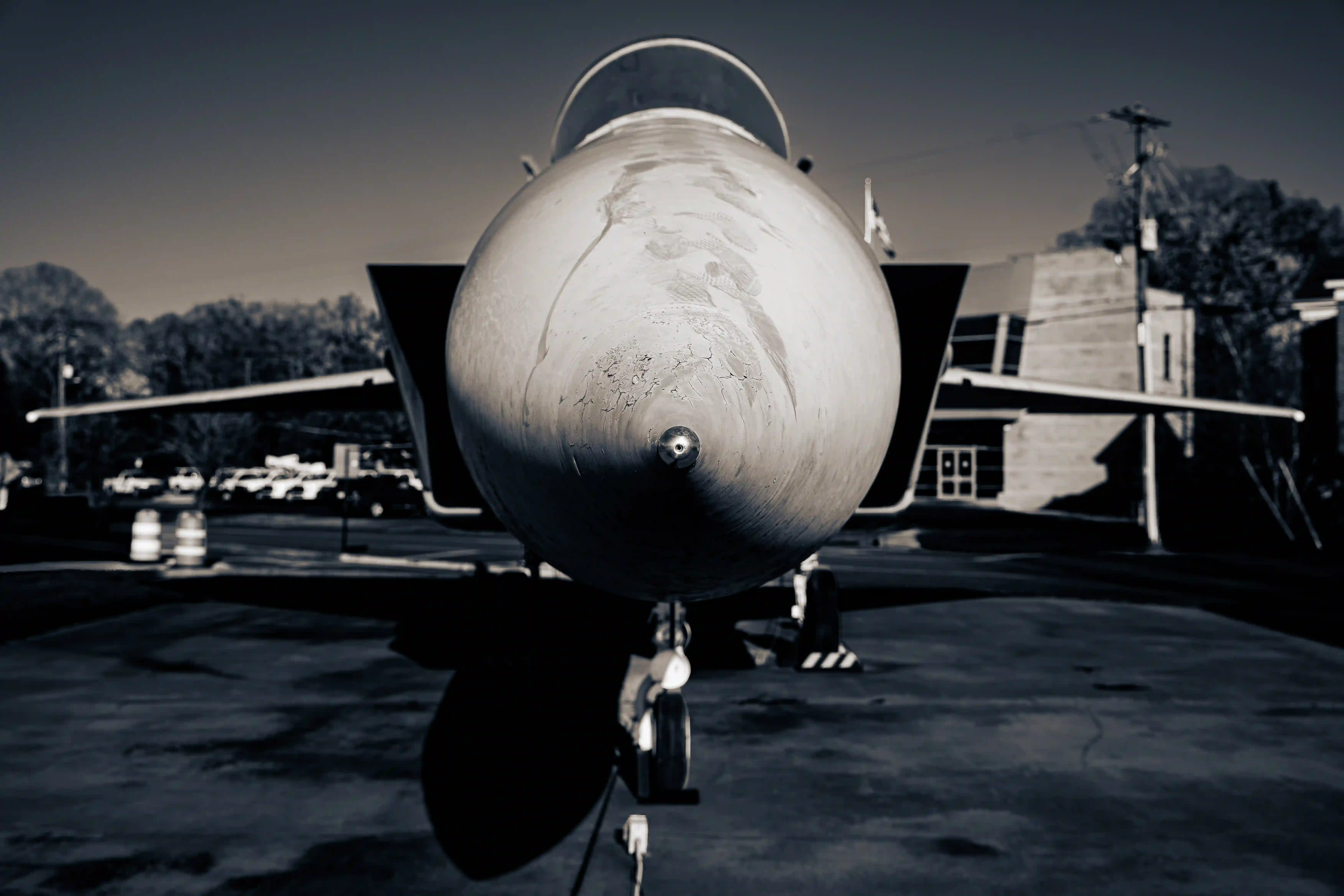 Take Flight photo in the Warner Robins gallery