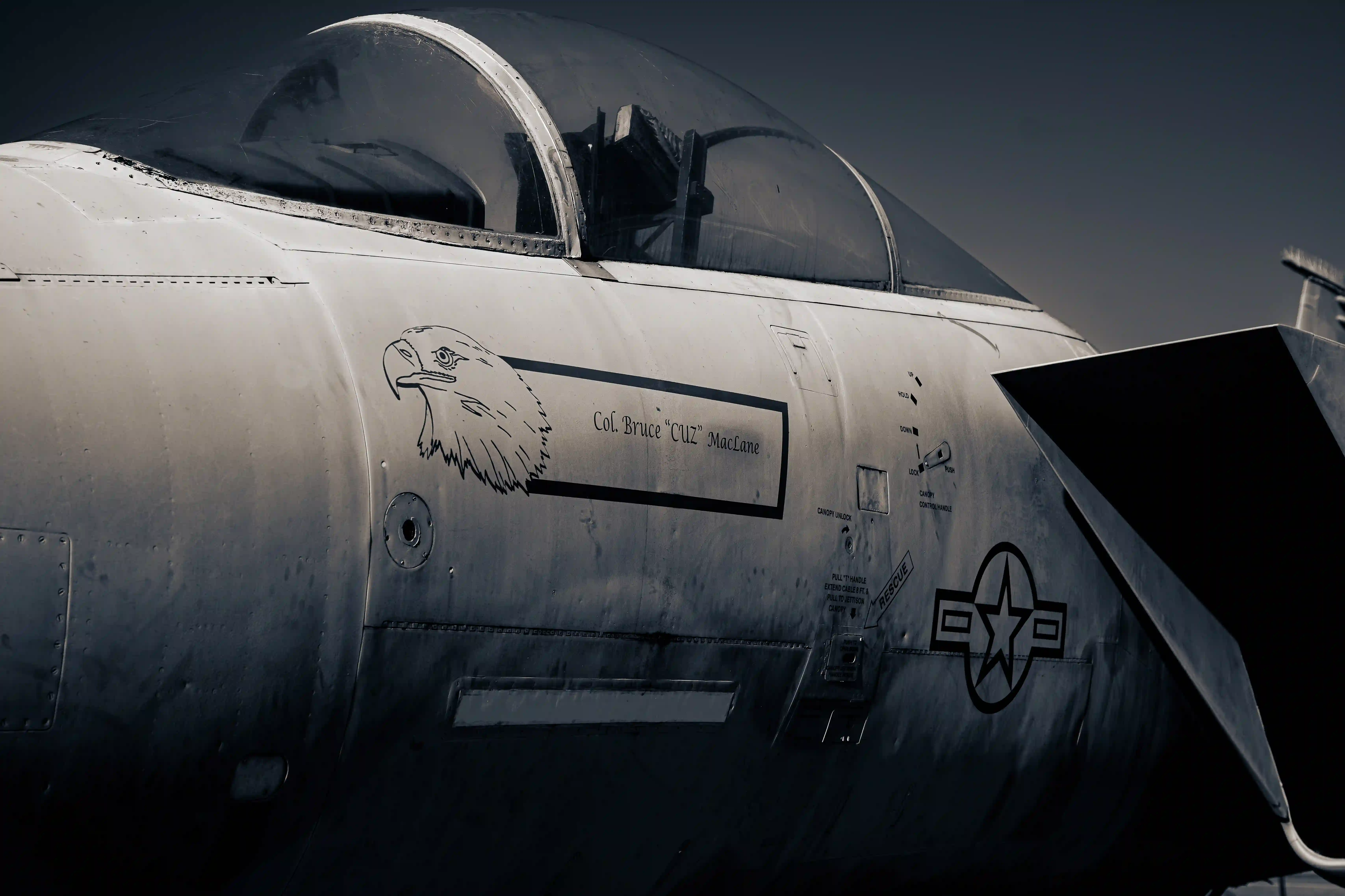 Take Flight photo in the Warner Robins gallery