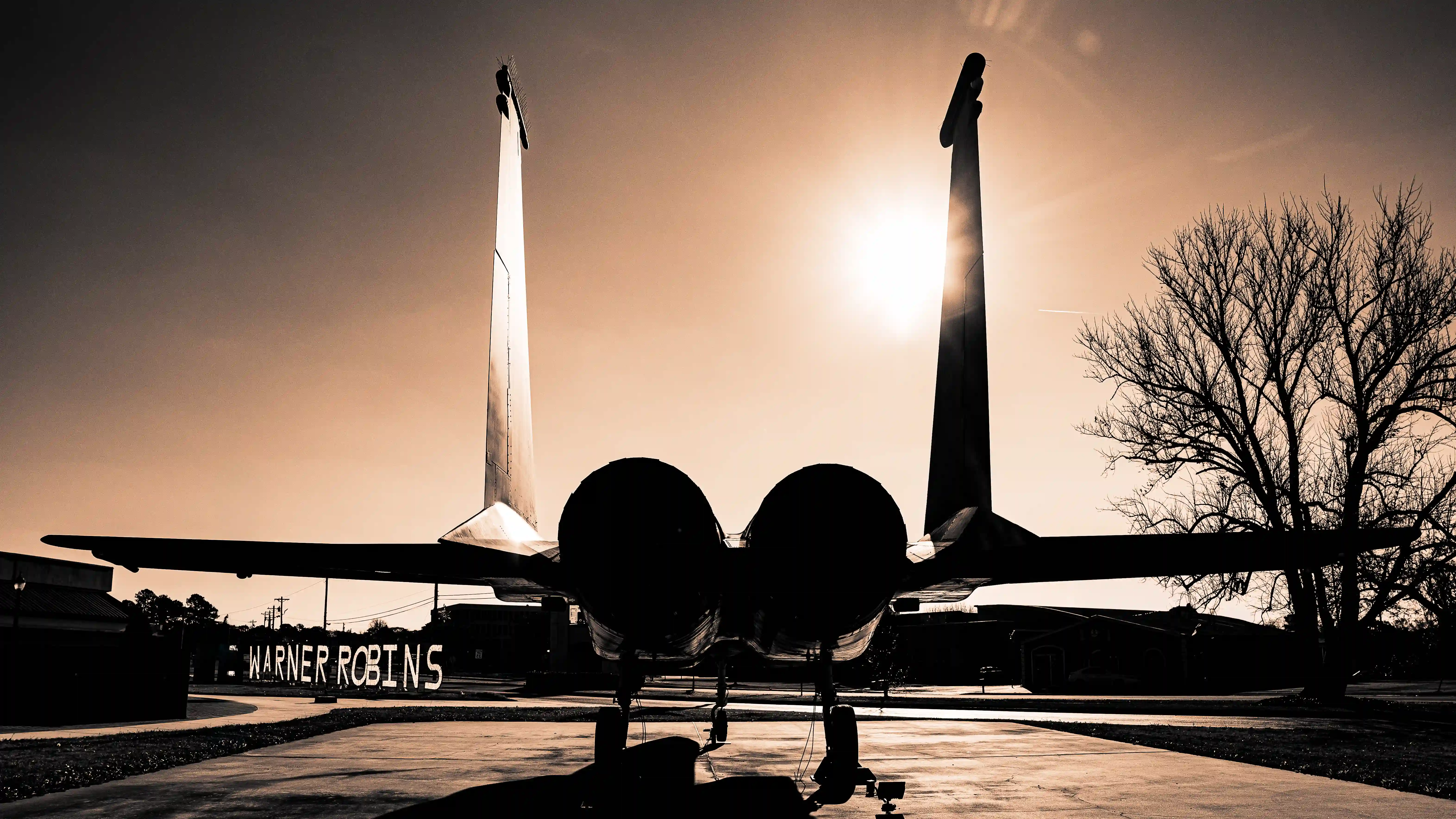 Take Flight photo in the Warner Robins gallery